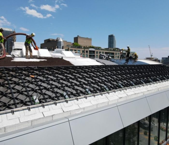 Die Georaster-Elemente in den steilen Randbereichen (Foto: Zinco)