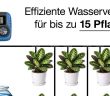 Autonomes Solar-Bewässerungssystem BWC-630.solar versorgt bis zu 15 Pflanzen (Foto: PEARL GmbH)