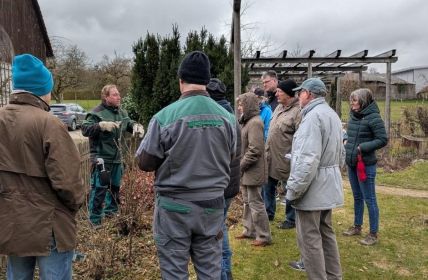 Rembold erläutert praxisorientiert Rosenschnitt und Düngestrategien im Kreislehrgarten (Foto: Sophia Och, LRA Donau-Ries)