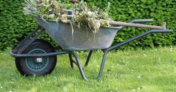 ARAG-Rechtsschutz versichert Gartenbesitzer effektiv vor baubehördlichen und nachbarschaftsrechtlichen (Foto: ARAG SE)