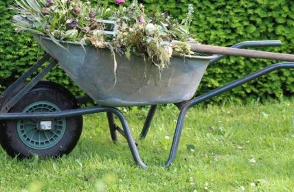 ARAG-Rechtsschutz versichert Gartenbesitzer effektiv vor baubehördlichen und nachbarschaftsrechtlichen (Foto: ARAG SE)