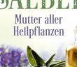 Salbei mit 160 medizinisch wirksamen Inhaltsstoffen: Anwendungen für (Foto: Mankau Verlag GmbH)