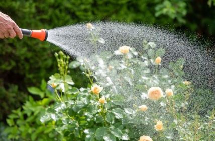 Effiziente Gartenbewässerung: Schläuche, Rechner und Zubehör optimal zuverlässig (Foto: TÜV SÜD)
