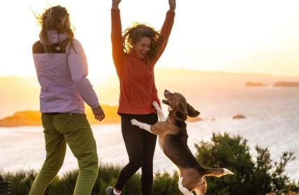 Wanderreisen mit Hund: 36 Routen, hundefreundliche Hotels und (Foto: Wikinger Reisen)